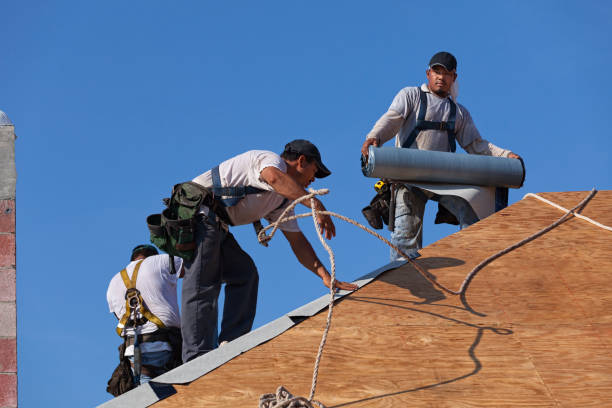 Best Local Roofing Companies  in Lockport Heights, LA