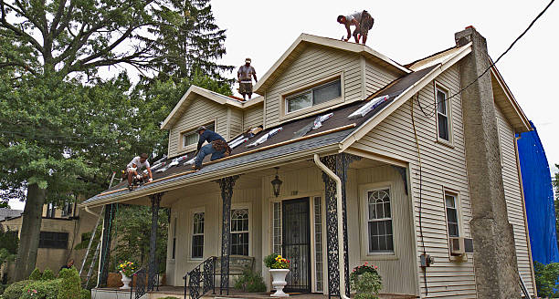Best Roof Gutter Cleaning  in Lockport Heights, LA